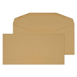 Blake Purely Everyday Manilla Gummed Mailer 114X229mm 80Gm2 Pack 1000 Code 2703 3P