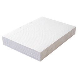 Feint Ruled Margin 2 Hole Punched A4 210x297mm 75Gm2 Pack of 500