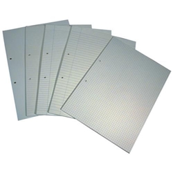 Rhino File Paper Punched 2 Hole 10mm Square A4 Pack of 500 LL06010 3P