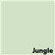 Image Coloraction Pale Green (Jungle) FSC4 SRA2 450x640mm 120Gm2 Pack 250