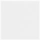 Conqueror Paper CX22 Brilliant White FSC4 Sra2 450 x640mm 100Gm2 Watermarked Pack 500