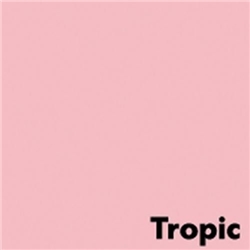 Image Coloraction Pale Pink (Tropic) FSC4 SRA2 450x640mm 80Gm2 Pack 500