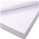Rhino Exam Paper Corner Punched 8mm Ruled Margins A4 Pack of 500 Cx0100 3P