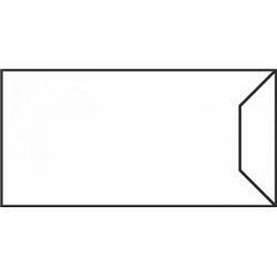 Blake Purely Everyday White Gummed Mailer Pocket 310X238mm 100Gm2 Pack 250 Code Si-80 3P