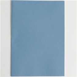 Bulletin Book 8mm Ruled A4 Blue 32 Page Pack of 100 DU014160 3P