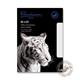 Blake Premium Office Ultra White Wove Superseal Pocket 229x162mm 120Gm2 Pack 50 Code 34114 3P