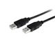 StarTech.com 2m USB A to USB A Cable Male to Male