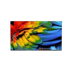 Philips 43HFL6214U 43 Inch 3840 x 2160 Pixels 4K Ultra HD Resolution HDMI 2.0 USB 3.0 USB 2.0 Mediasuite TV