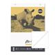 Rhino A1 Educational Dotted Flip Chart Pad 30 Leaf 20mm Dotted With Plain Reverse (Pack 5) - REDFC-2