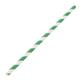 Fiesta Compostable Paper Straws Green Stripes (250 Pack)