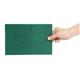Jantex Large Scouring Pads - Green (10 pack)