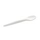 Sabert Recyclable Paper Cutlery Tea Spoon (1000 Pack)