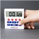 Hygiplas Big Digit Timer