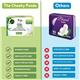 Cheeky Panda Pantyliners with Bamboo Lining + Core (Pack of 6 of 18 Liners) 
