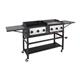 Buffalo 6 Burner Combi BBQ Grill and Griddle
