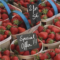 Mounting Spikes for Securit Mini Chalkboard Tags (CL310) (20 pack)