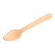 Fiesta Compostable Wooden Teaspoons (100 pack)