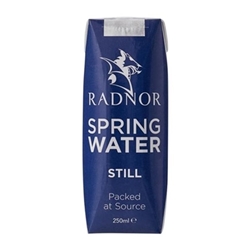 Radnor Still Spring Water Tetra Pak 250ml (24 Pack)