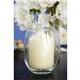 Bolsius Ivory Pillar Short Candles 3" (12 pack)
