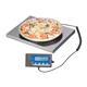 Brecknell WS15 Portable Bench Scale 15kg