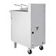 Blue Seal Twin Tank Twin Basket Free Standing Natural Gas Fryer GT46