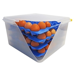 Araven Airtight Container with 4 Egg Trays GN 2/3 200mm