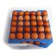 Araven Airtight Container with 4 Egg Trays GN 2/3 200mm