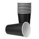 Fiesta Recyclable Coffee Cups Single Wall Black 455ml / 16oz (1000 Pack)