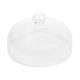 Glass Cloche 260mm