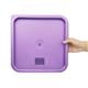 Hygiplas Square Food Storage Container Lid Purple Large