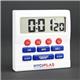 Hygiplas Big Digit Timer