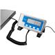 Brecknell Bench Scales 60kg WS60