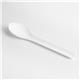 Fiesta Compostable Paper Spoons 150mm (100 Pack)