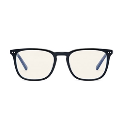 Bolle Safety Glasses Wellington Unisex Problu Glasses BOPRBWELL108
