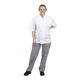 Whites Unisex Vegas Chefs Trousers Blue & White Check XS