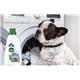 Dettol Pet Friendly Antibacterial Laundry Sanitiser, FRESH BREEZE 750ml