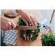 Mac Original Utility Knife 17cm