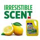 Fairy Lemon Professional  Washing Up Liquid 5 Litres