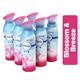 Febreze Blossom & Breeze Air Freshener 185ml - PACK (8)