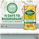 Zoflora Lemon Biodegradable Wipes, Antibacterial Multi-Surface Cleaning Wipes, 70's - PACK (6)
