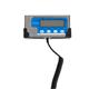 Brecknell Bench Scales 60kg WS60
