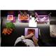 Pujadas Purple Polinorm Gastronorm Lid 1/2GN