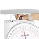 Vogue Platform Scale 20kg