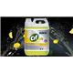 Cif Professional Lemon All Purpose Cleaner 5 Litre