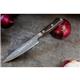 Dick DarkNitro Paring Knife 12cm