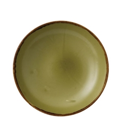 Dudson Harvest Evolve Coupe Bowls Green 248mm (12 pack)