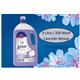 Lenor Fabric Conditioner LAVENDER & LILLY BREEZE Professional 4 Litre - PACK (3)