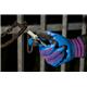 Portwest Duo-Flex Glove XL Red/Bl (Pack of 12)