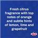 Nilco H12 High Power Fresh Citrus Air Freshener 750ml - PACK (6)