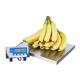 Brecknell WS15 Portable Bench Scale 15kg